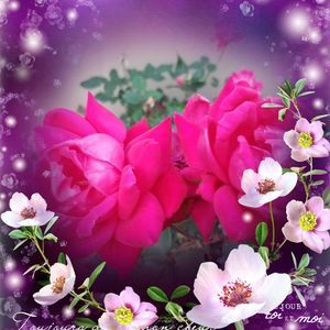 Meet your Posher, San